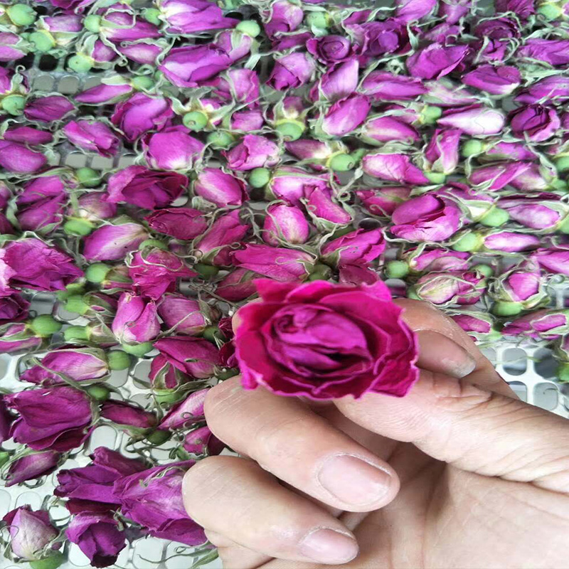 玫瑰花烘干烘干項目