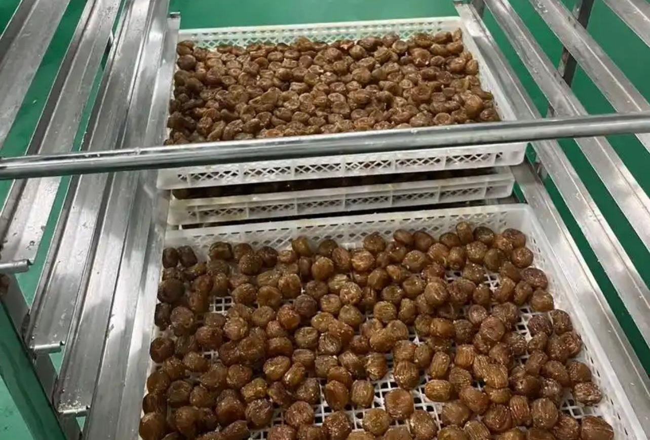 金絲蜜棗的熱泵烘干工藝：傳統美味的現代升華