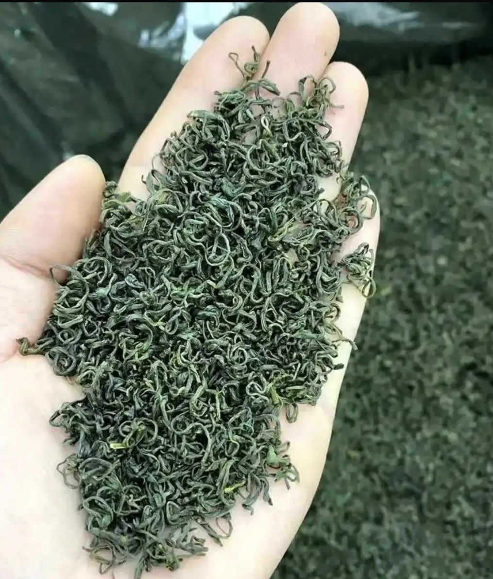 茶葉烘干過程中，不同品種的茶葉適宜的烘干溫度是多少？