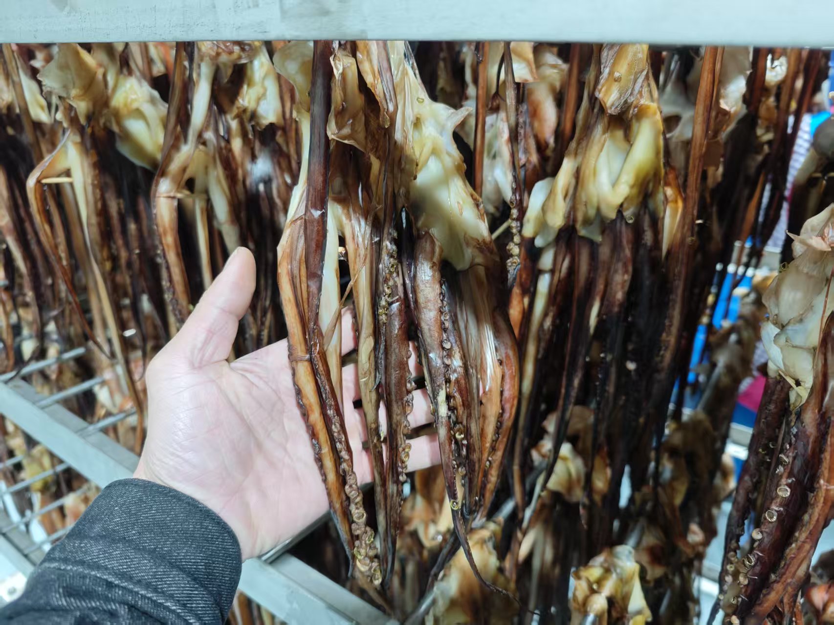 魷魚(yú)熱泵烘干：節(jié)能、高效、環(huán)保三重奏