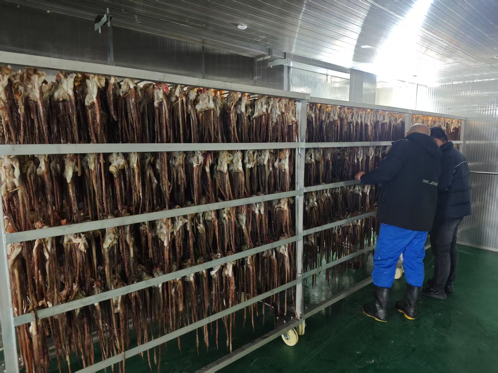魷魚(yú)熱泵烘干：節(jié)能、高效、環(huán)保三重奏