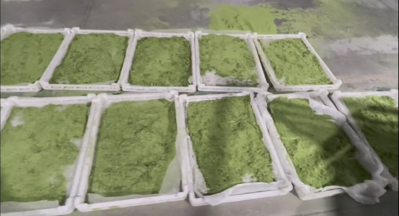 牧草烘干：含水量從80%降至15%以下，保持翠綠不變色。