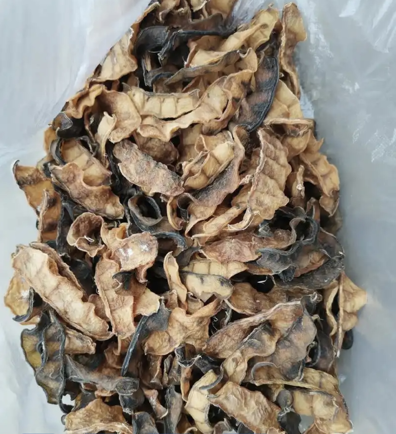 想要扁豆烘干更高效、品質更穩定？扁豆烘干的解決方案