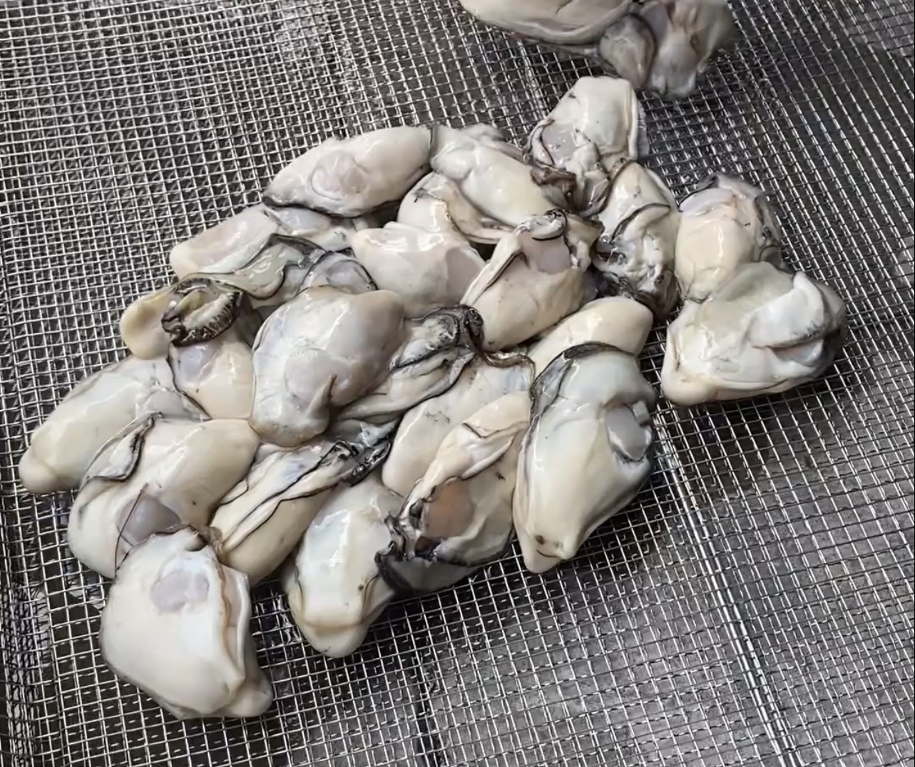 海產(chǎn)生耗烘干愁？熱泵恒溫除濕，魚 / 蝦 / 貝類 24 小時(shí)烘透，成本低還衛(wèi)生！